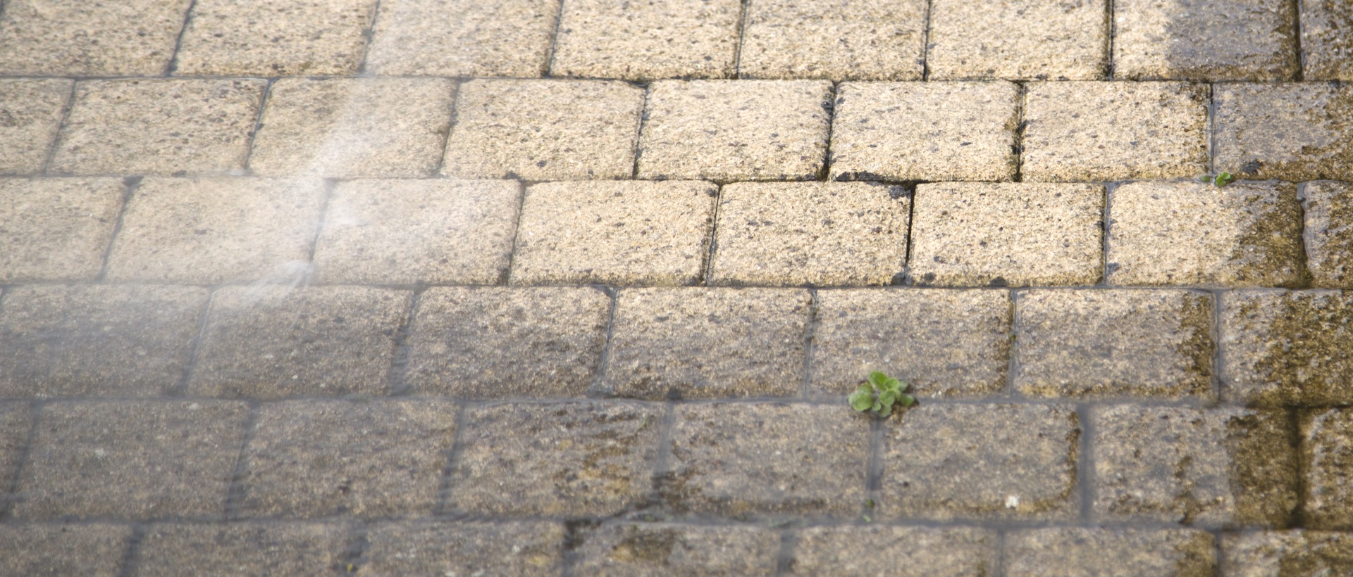 flagging and patios SE14